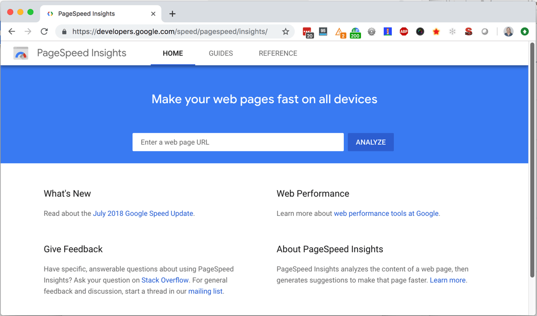 Lighthouse from the PageSpeed Insights website